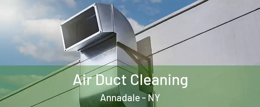 Air Duct Cleaning Annadale - NY