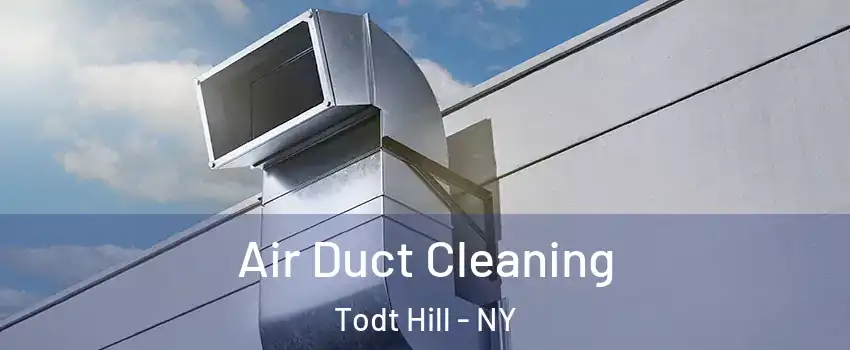 Air Duct Cleaning Todt Hill - NY