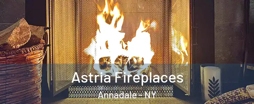 Astria Fireplaces Annadale - NY