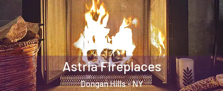 Astria Fireplaces Dongan Hills - NY