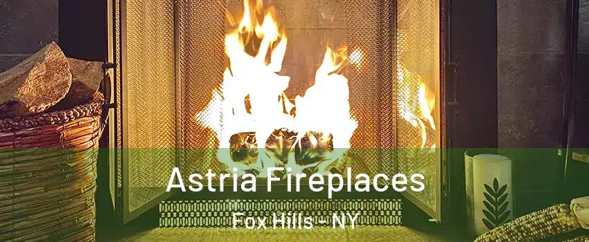 Astria Fireplaces Fox Hills - NY