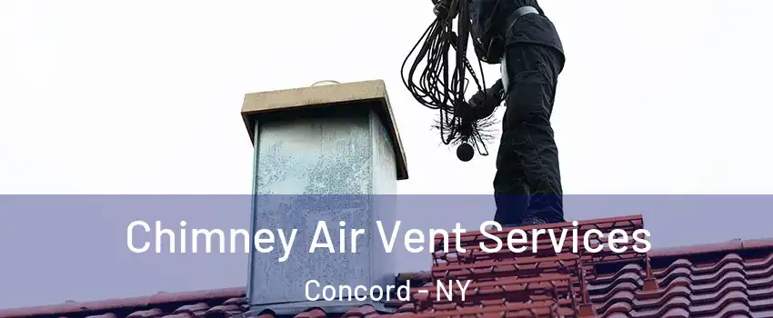 Chimney Air Vent Services Concord - NY