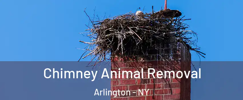 Chimney Animal Removal Arlington - NY