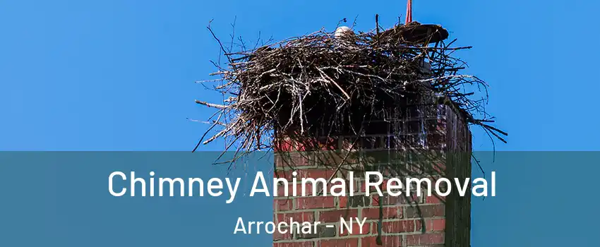 Chimney Animal Removal Arrochar - NY