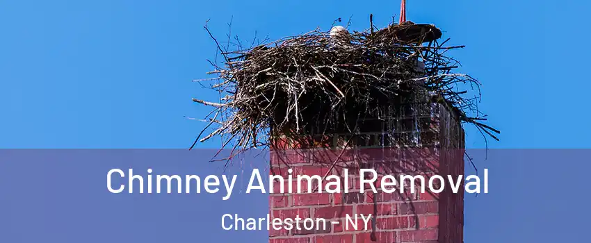 Chimney Animal Removal Charleston - NY