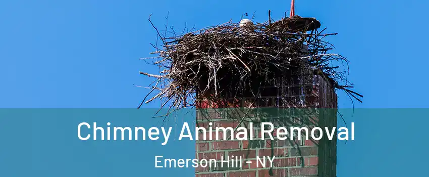 Chimney Animal Removal Emerson Hill - NY