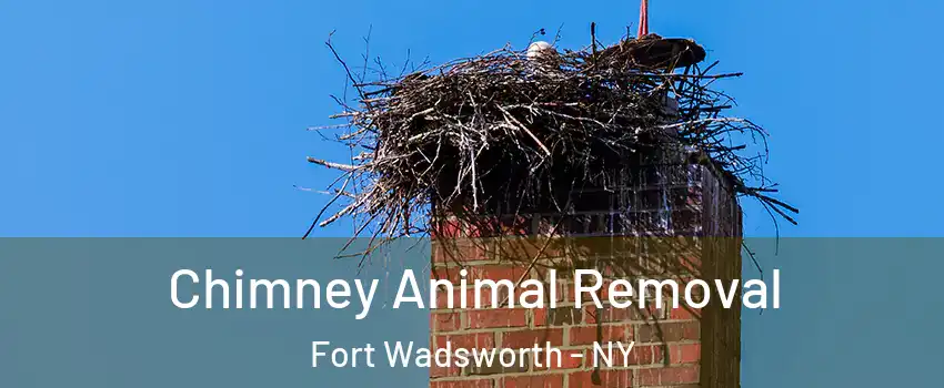 Chimney Animal Removal Fort Wadsworth - NY