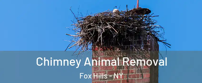 Chimney Animal Removal Fox Hills - NY