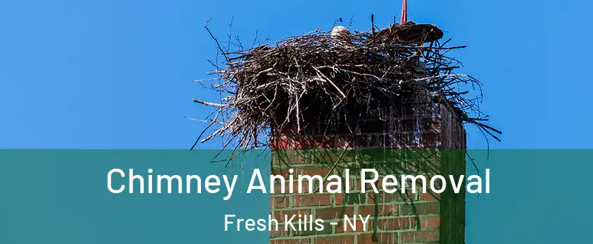 Chimney Animal Removal Fresh Kills - NY