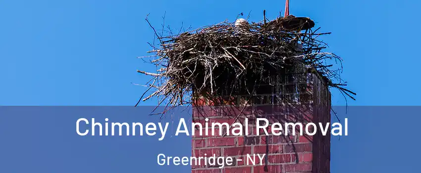 Chimney Animal Removal Greenridge - NY