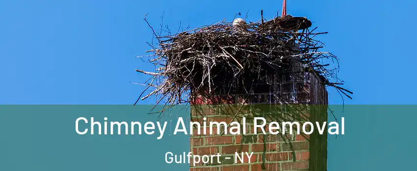 Chimney Animal Removal Gulfport - NY