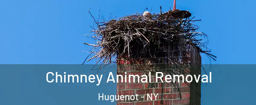 Chimney Animal Removal Huguenot - NY