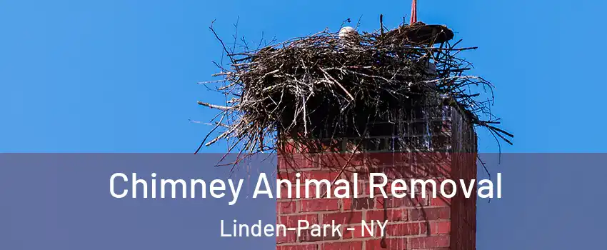 Chimney Animal Removal Linden-Park - NY