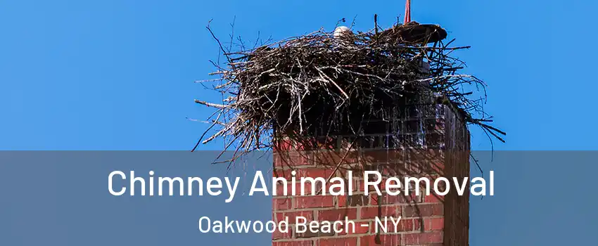 Chimney Animal Removal Oakwood Beach - NY