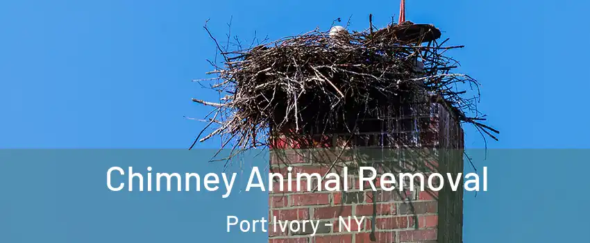 Chimney Animal Removal Port Ivory - NY