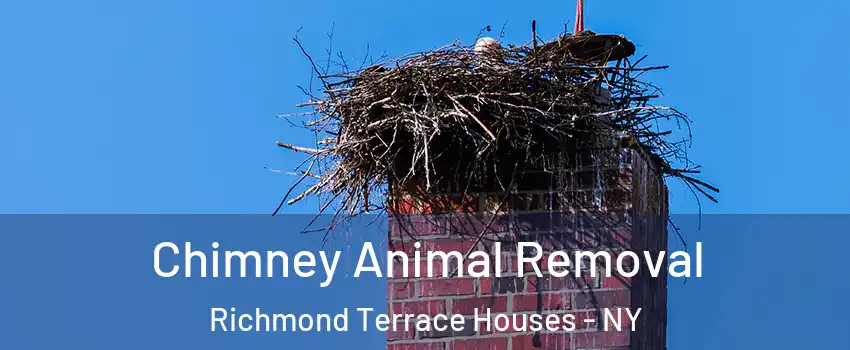 Chimney Animal Removal Richmond Terrace Houses - NY