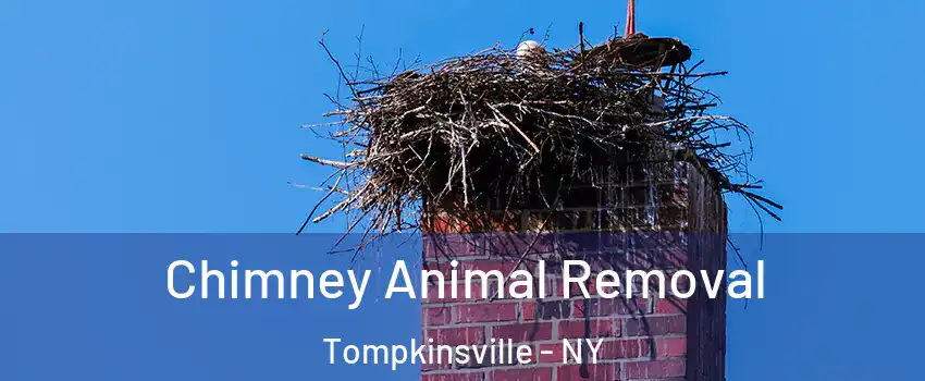 Chimney Animal Removal Tompkinsville - NY