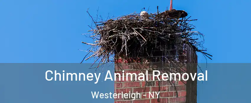 Chimney Animal Removal Westerleigh - NY