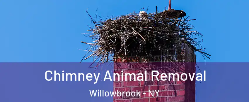 Chimney Animal Removal Willowbrook - NY