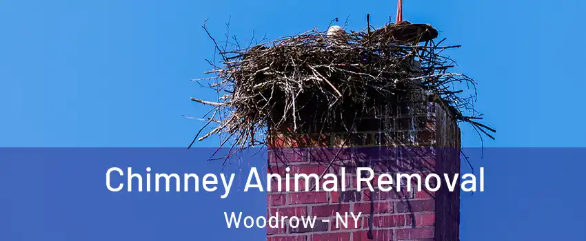 Chimney Animal Removal Woodrow - NY