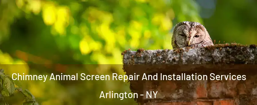 Chimney Animal Screen Repair And Installation Services Arlington - NY