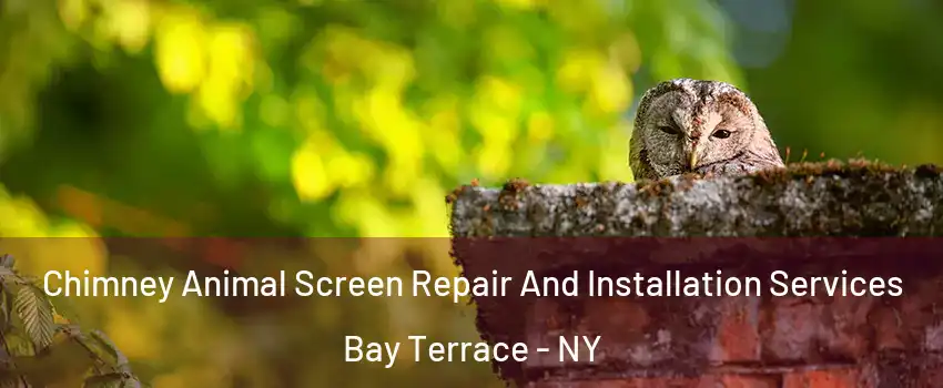 Chimney Animal Screen Repair And Installation Services Bay Terrace - NY