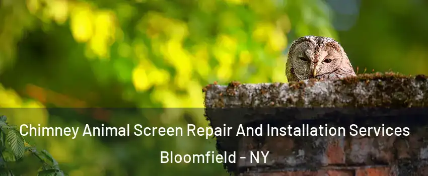 Chimney Animal Screen Repair And Installation Services Bloomfield - NY