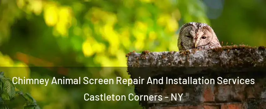 Chimney Animal Screen Repair And Installation Services Castleton Corners - NY