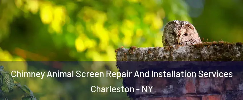 Chimney Animal Screen Repair And Installation Services Charleston - NY