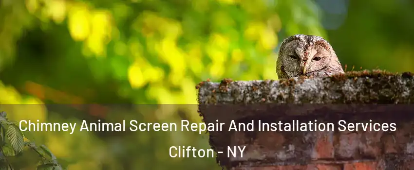 Chimney Animal Screen Repair And Installation Services Clifton - NY