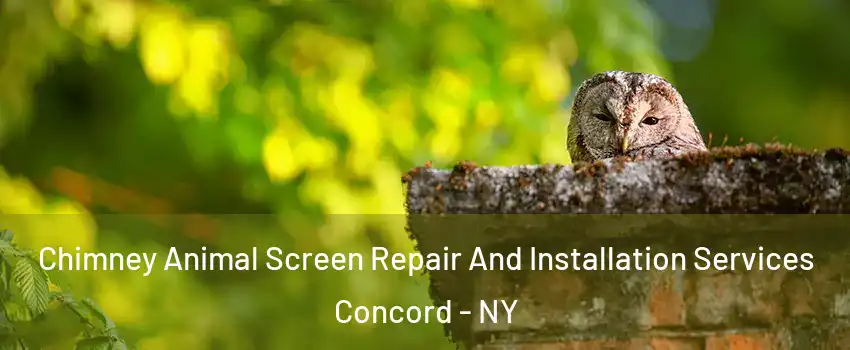 Chimney Animal Screen Repair And Installation Services Concord - NY