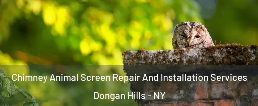 Chimney Animal Screen Repair And Installation Services Dongan Hills - NY