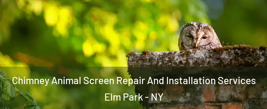 Chimney Animal Screen Repair And Installation Services Elm Park - NY