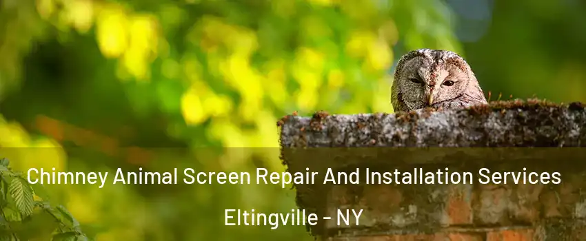 Chimney Animal Screen Repair And Installation Services Eltingville - NY