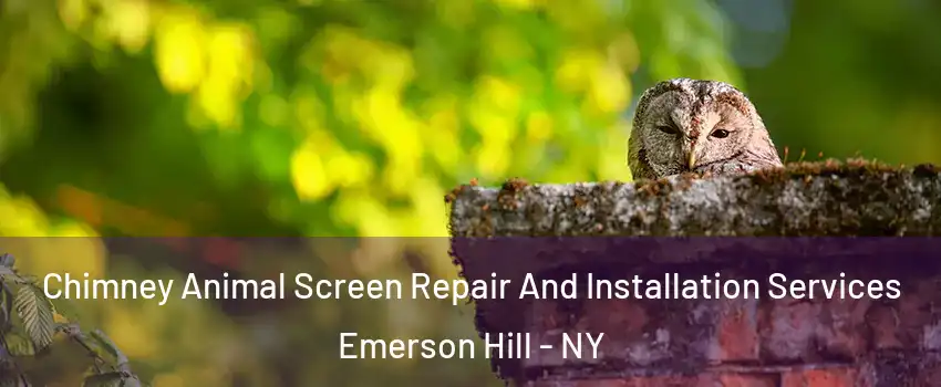 Chimney Animal Screen Repair And Installation Services Emerson Hill - NY