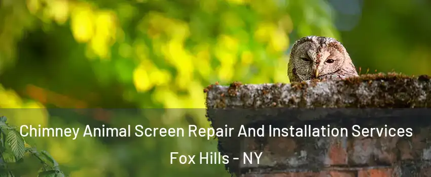 Chimney Animal Screen Repair And Installation Services Fox Hills - NY