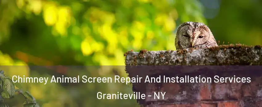 Chimney Animal Screen Repair And Installation Services Graniteville - NY