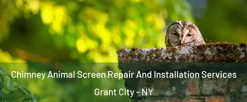 Chimney Animal Screen Repair And Installation Services Grant City - NY