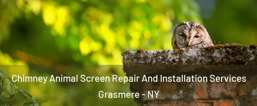 Chimney Animal Screen Repair And Installation Services Grasmere - NY