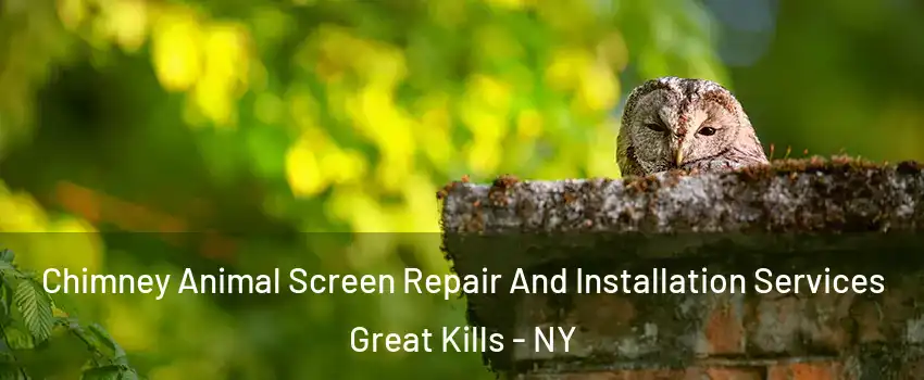 Chimney Animal Screen Repair And Installation Services Great Kills - NY