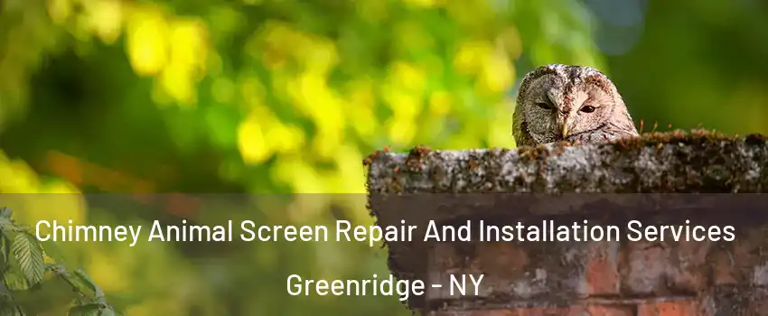 Chimney Animal Screen Repair And Installation Services Greenridge - NY