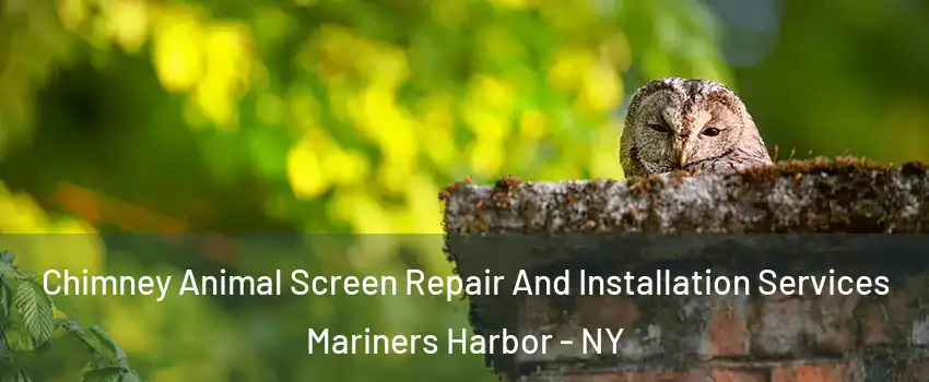 Chimney Animal Screen Repair And Installation Services Mariners Harbor - NY