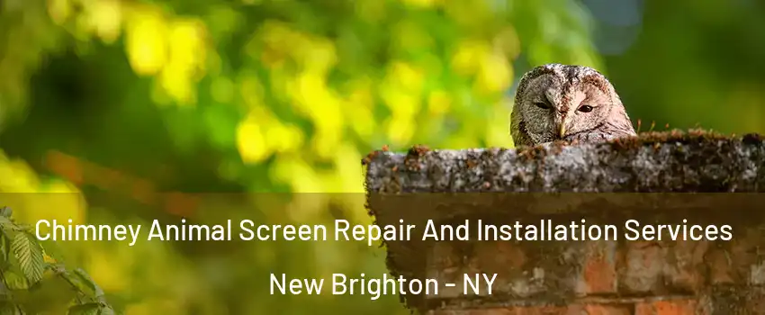 Chimney Animal Screen Repair And Installation Services New Brighton - NY