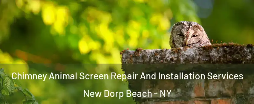 Chimney Animal Screen Repair And Installation Services New Dorp Beach - NY