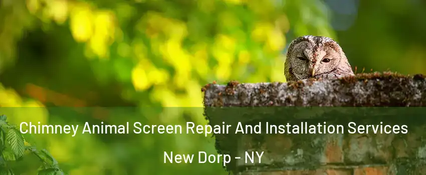 Chimney Animal Screen Repair And Installation Services New Dorp - NY