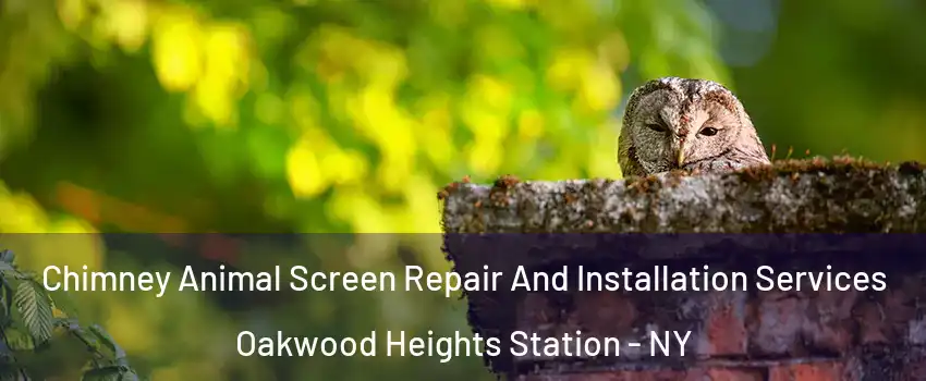 Chimney Animal Screen Repair And Installation Services Oakwood Heights Station - NY