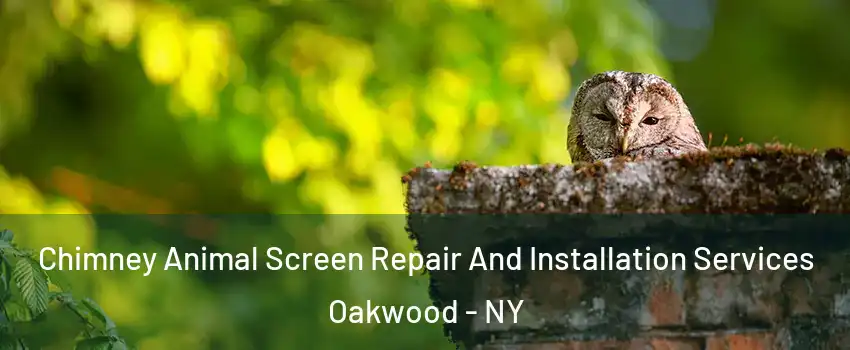 Chimney Animal Screen Repair And Installation Services Oakwood - NY