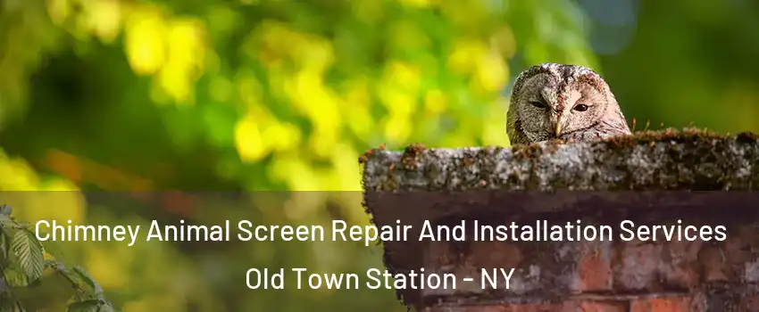 Chimney Animal Screen Repair And Installation Services Old Town Station - NY