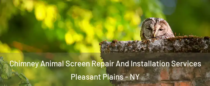 Chimney Animal Screen Repair And Installation Services Pleasant Plains - NY