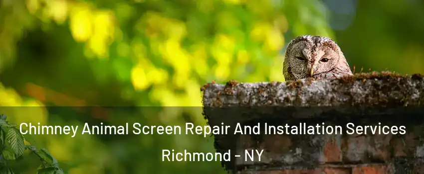 Chimney Animal Screen Repair And Installation Services Richmond - NY